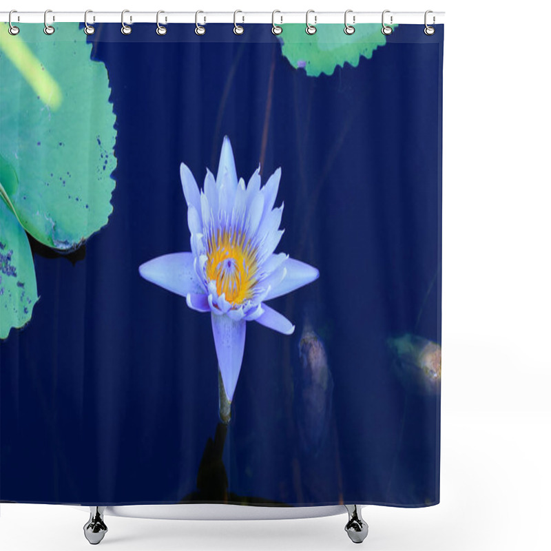 Personality  Purple Lotus Flowers At The Botanical Garden Are A Tourist Attraction In Rayong Province, Thailand. Shower Curtains