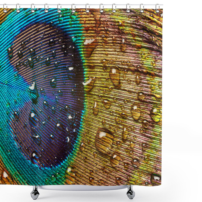 Personality  Peacock Feather With Drops Of Water Shower Curtains