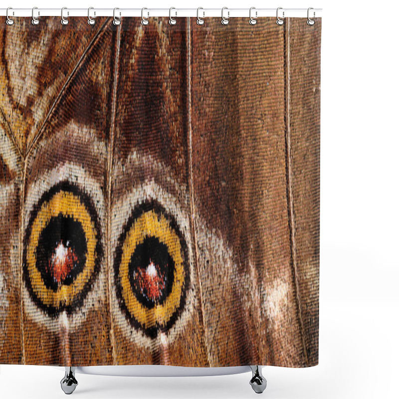 Personality  Butterfly Wing Patterns Shower Curtains