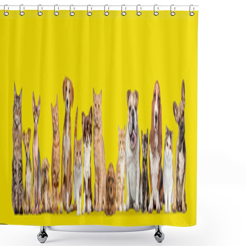 Personality  Group Of Cats And Dogs Isolated On Yellow Background, Banner. Remastered. Shower Curtains