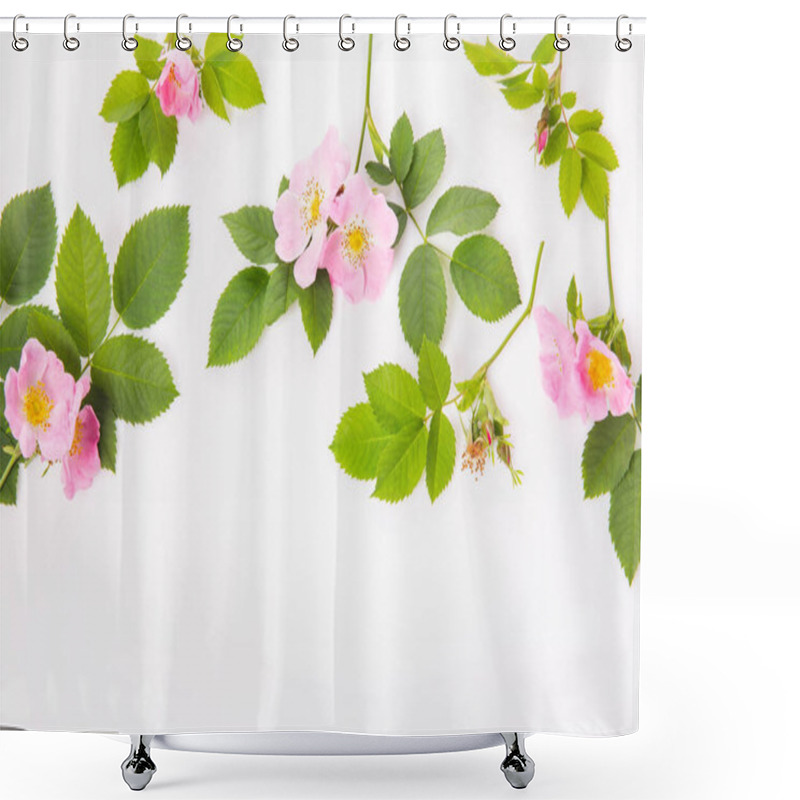 Personality  Top View Of Wild Rose Blossoms And Foliage In Balanced Composition. Wild Rose, Dog Rose, Rosehip Brings Elegance To Botanical Design, For Organic Themes, Herbal Medicine, Beauty Floral Arrangements Shower Curtains