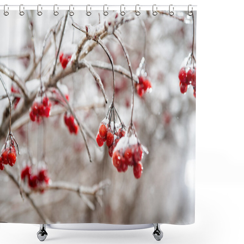 Personality  Red Rowan Tree In Winter Forest Shower Curtains