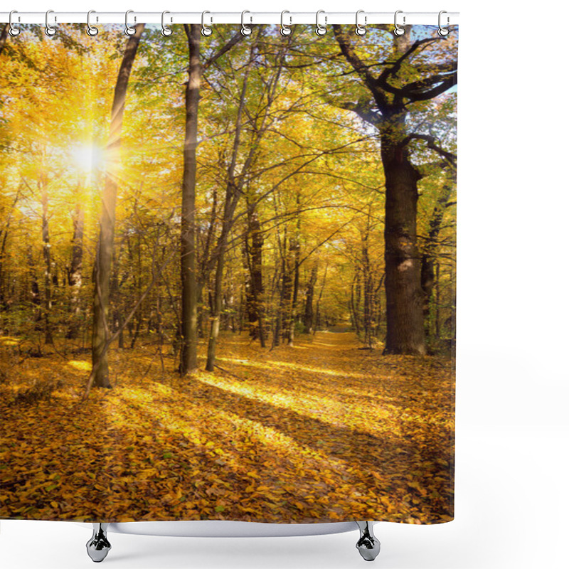 Personality  Gold Autumn With Sunlight And Sunbeams -  Beautiful Trees In The Shower Curtains