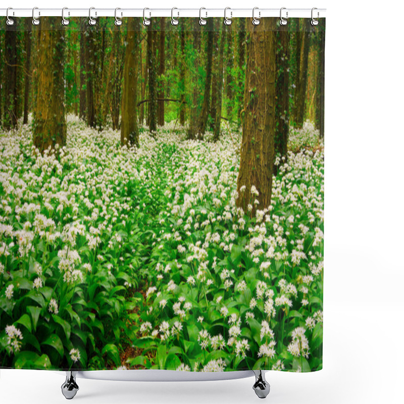 Personality  Spring Forest With Multiple White Wild Flowers Shower Curtains