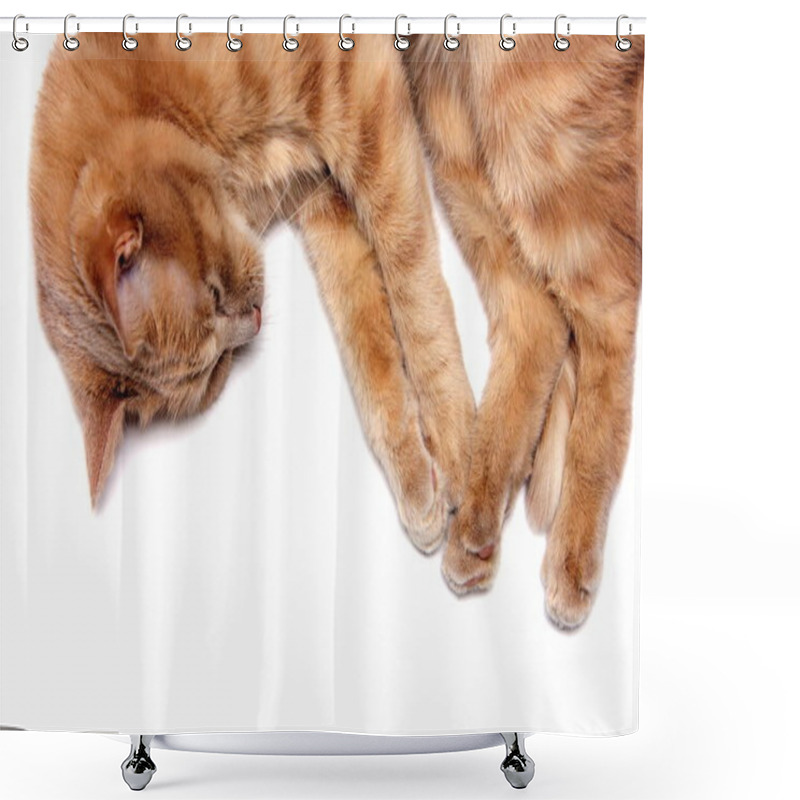 Personality  A Sleeping Red Cat Is Isolated On A White Background. Close Up. Shower Curtains