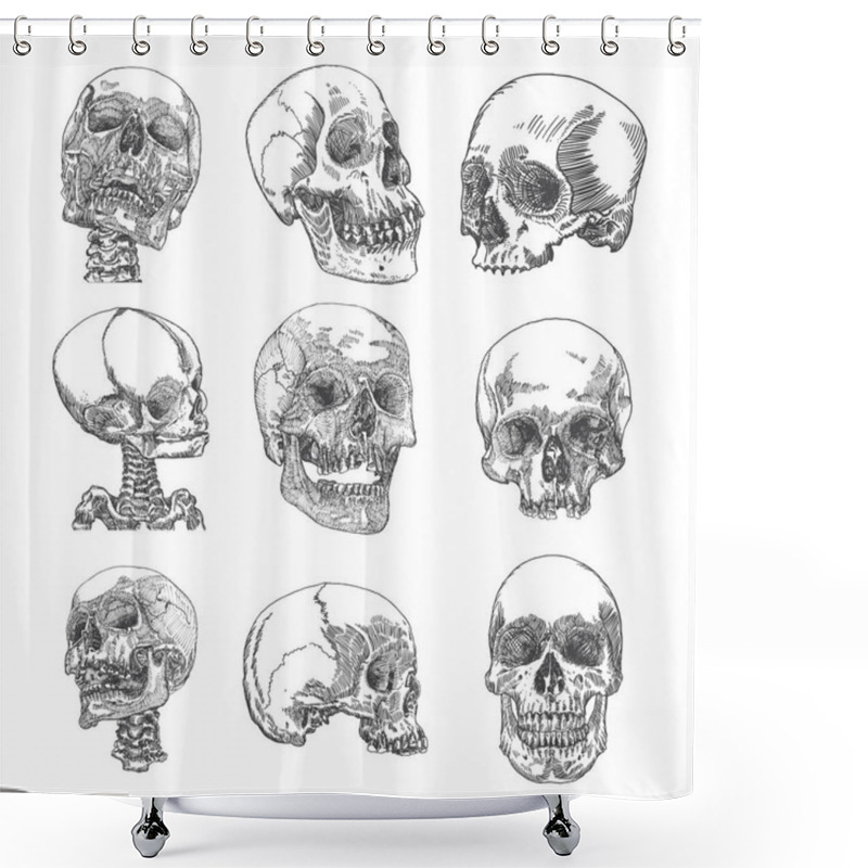 Personality  Set Of Anatomic Skull Sketches Shower Curtains