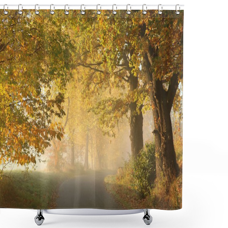 Personality  Beautiful Autumn Scenery Shower Curtains