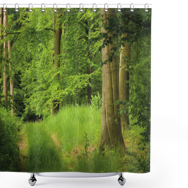 Personality  Forest Shower Curtains