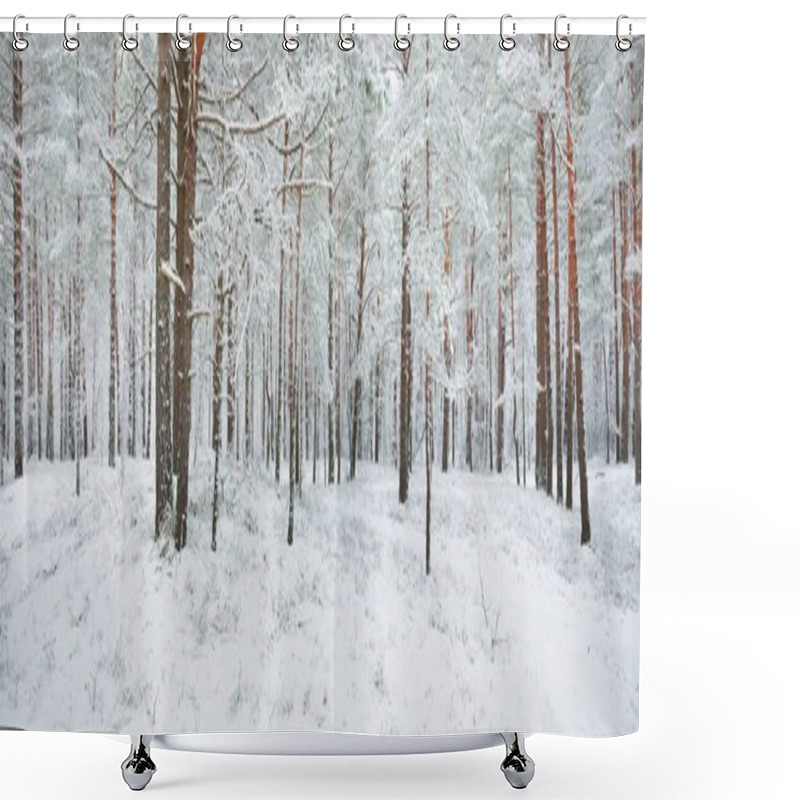 Personality  Pathway Through Snow-covered Pine Tree Forest. Blizzard. Trees Close-up. Atmospheric Landscape. Idyllic Rural Scene. Winter Wonderland. Nature, Climate, Seasons, Christmas Vacations, Ecotourism Shower Curtains