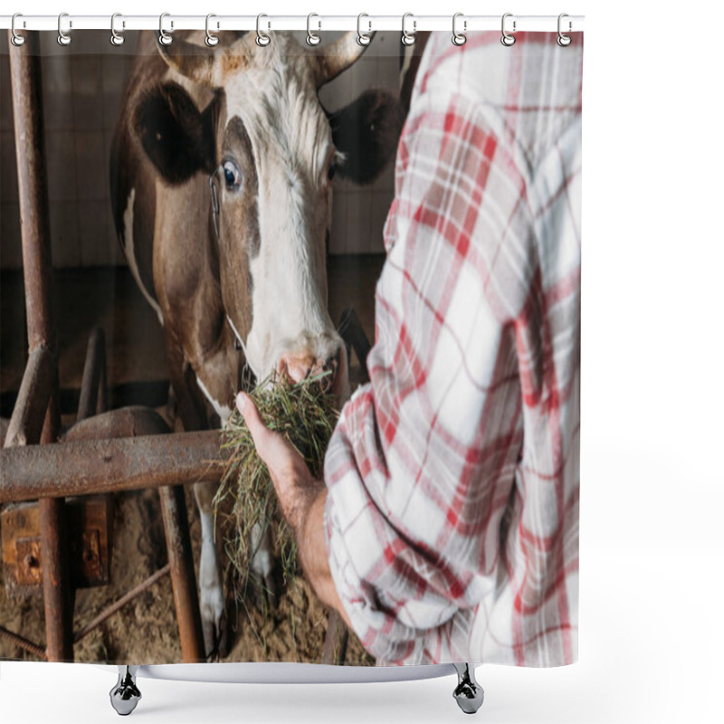 Personality  Farmer Feeding Cow Shower Curtains