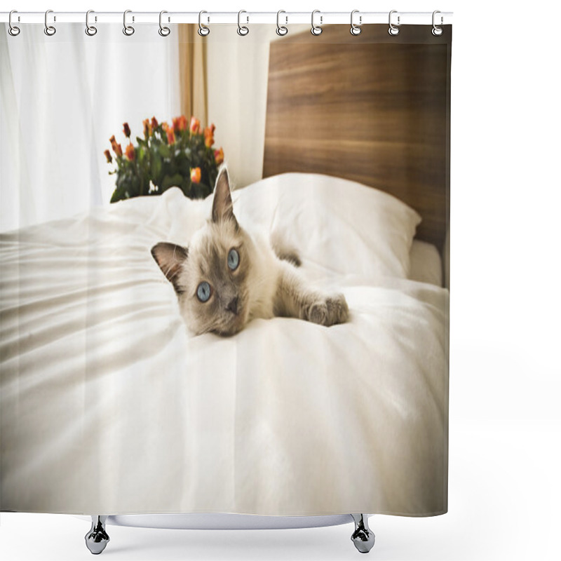 Personality  Cat Shower Curtains