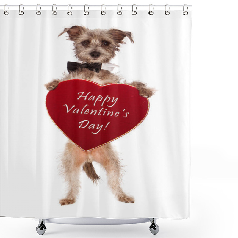 Personality  Terrier Dog Holding Valentines Day Heart Shower Curtains