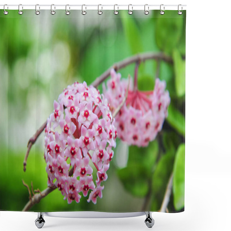 Personality  Twin Pink Hoya Shower Curtains