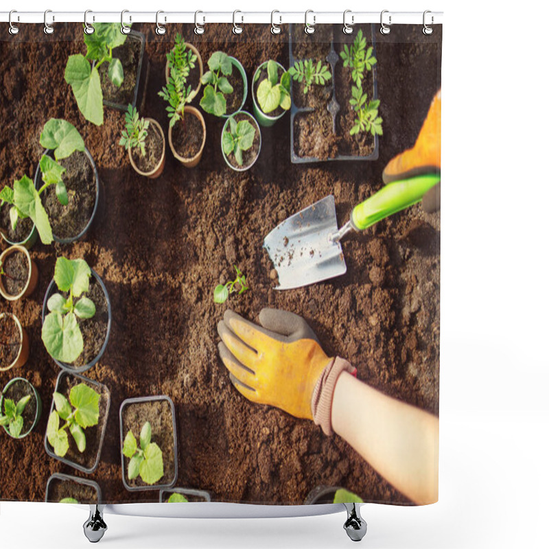 Personality  Humans Hands Seedling A Plant Sprout In The Black Soil.. Concept Of A New Life, Saving Planet And Gardening. Shower Curtains