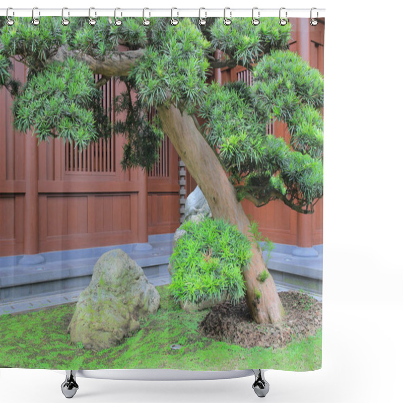 Personality  Leaning Bonsai Tree, Chi Lin Nunnery, Hong Kong Shower Curtains