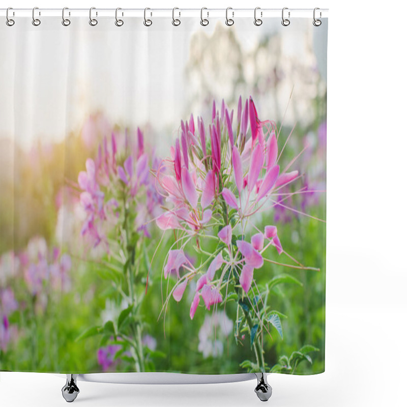 Personality  Pink Flower Shower Curtains