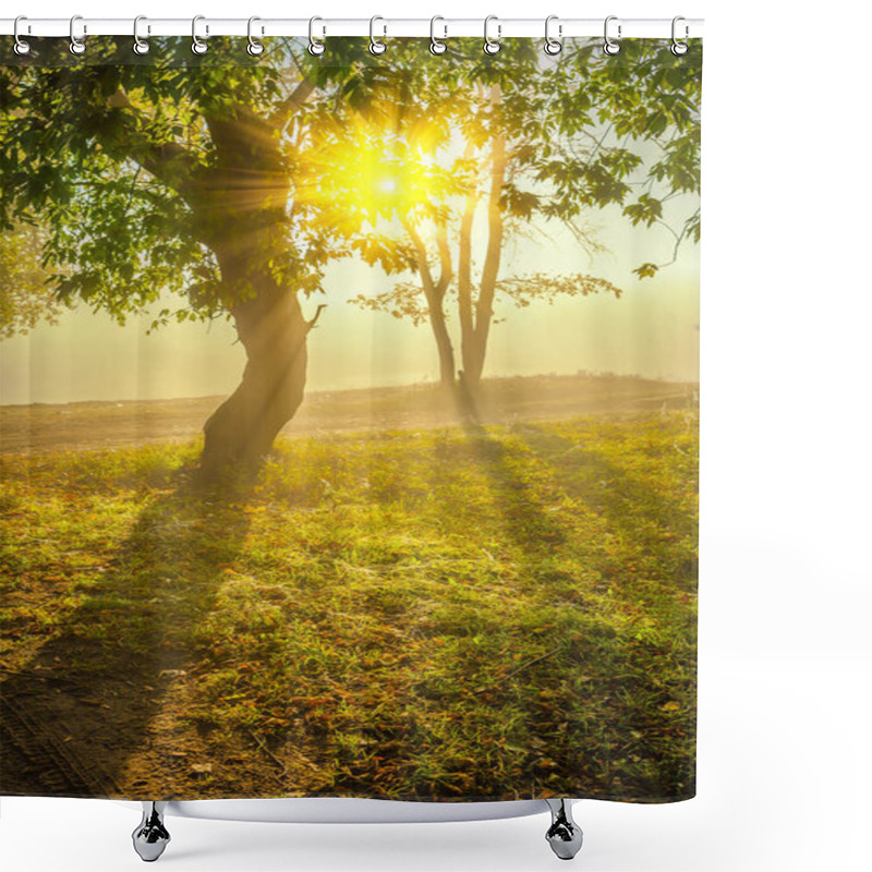 Personality  Sunrise On The Edge Of Forest Shower Curtains