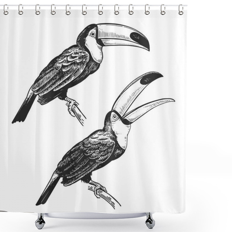 Personality  Toucan. Hand Drawing Of Bird From Wild. Black Figure On White Background. Vector Illustration. Vintage Engraving Style. Realistic Isolated Figure Of Tropical Bird With Large Beak. Nature Concept. Shower Curtains