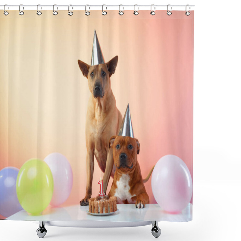 Personality  A Thai Ridgeback And A Staffordshire Bull Terrier Celebrate A Festive Occasion, Adorned With Party Hats And Surrounded By Colorful Balloons Shower Curtains