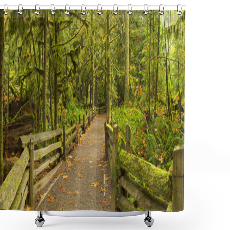 Personality  Path Through Lush Rainforest, Cathedral Grove, Vancouver Island, Shower Curtains