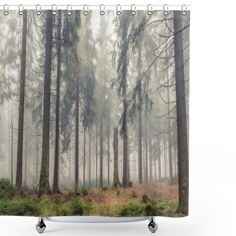 Personality  Foggy Evergreen Forest At Morning Time In The Autumn Shower Curtains