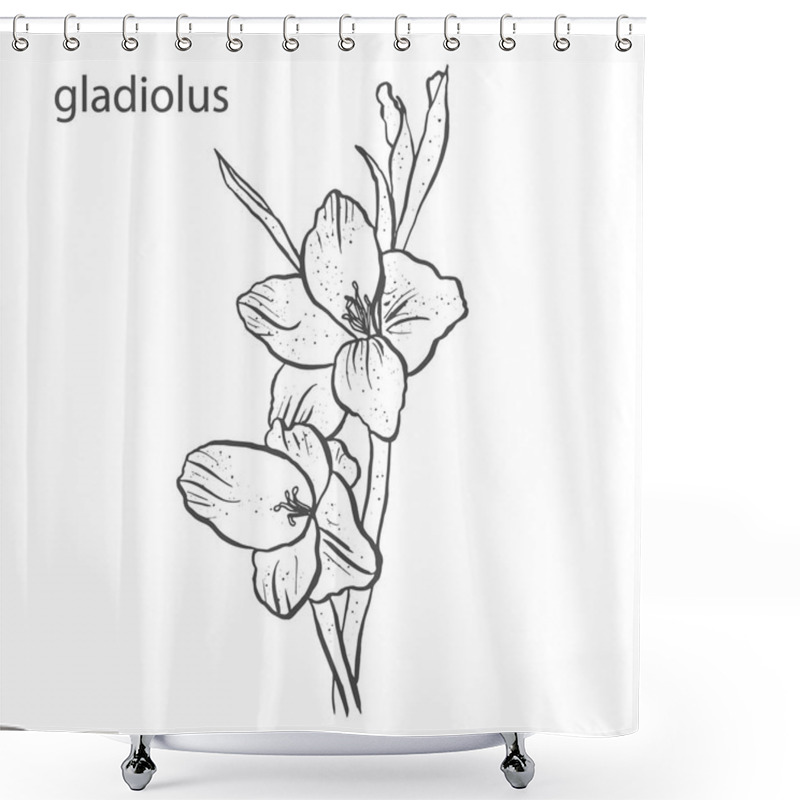 Personality  Gladiolus Flower In Hand Drawn Style Isolated On White Background Shower Curtains