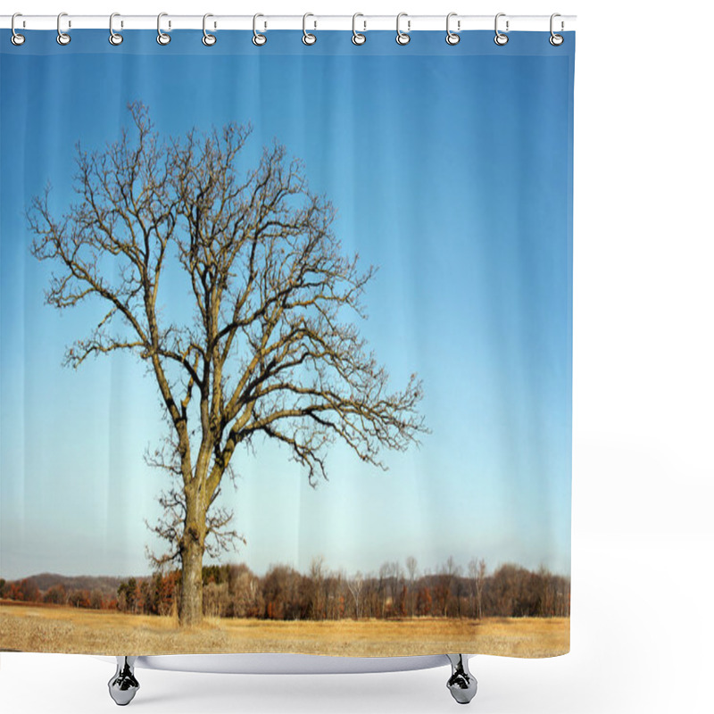 Personality  Lone Bare Branched Winter Tree In The Country Shower Curtains