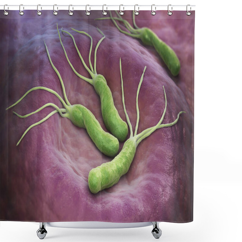 Personality  Helicobacter Pylori Bacteria Shower Curtains