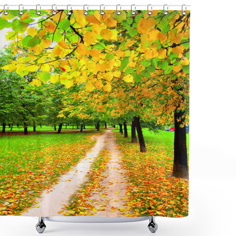 Personality  Beautiful Alley In Autumn Park Shower Curtains