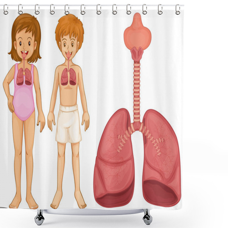 Personality  Lung Diagram On Human Shower Curtains