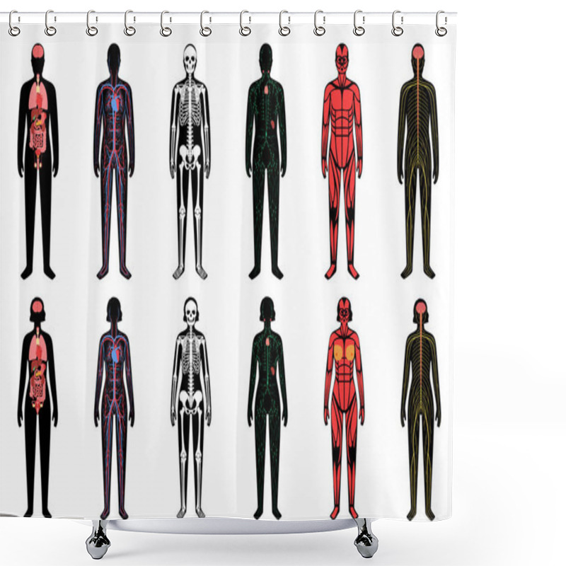 Personality  Human Body Systems Shower Curtains