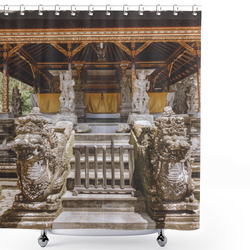 Personality  Temple Complex Shower Curtains