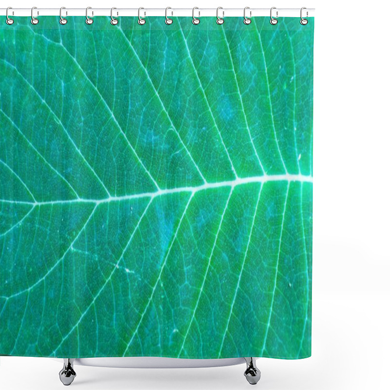 Personality  Green Leaf Texture Shower Curtains