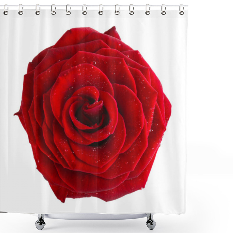 Personality  Beautiful Red Rose Shower Curtains