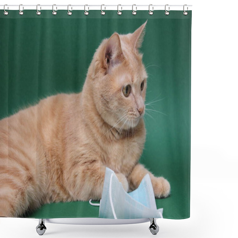 Personality  A Red Cat Lies Near A Medical Mask On A Green Background. Concept Of Veterinary Services. Coronavirus STOP. Shower Curtains