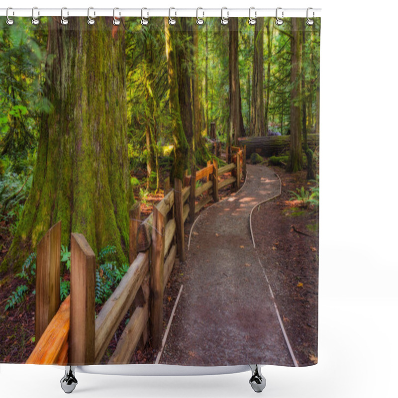 Personality  A Hiking Trail In The Cathedral Grove On Vancouver Island, BC Shower Curtains