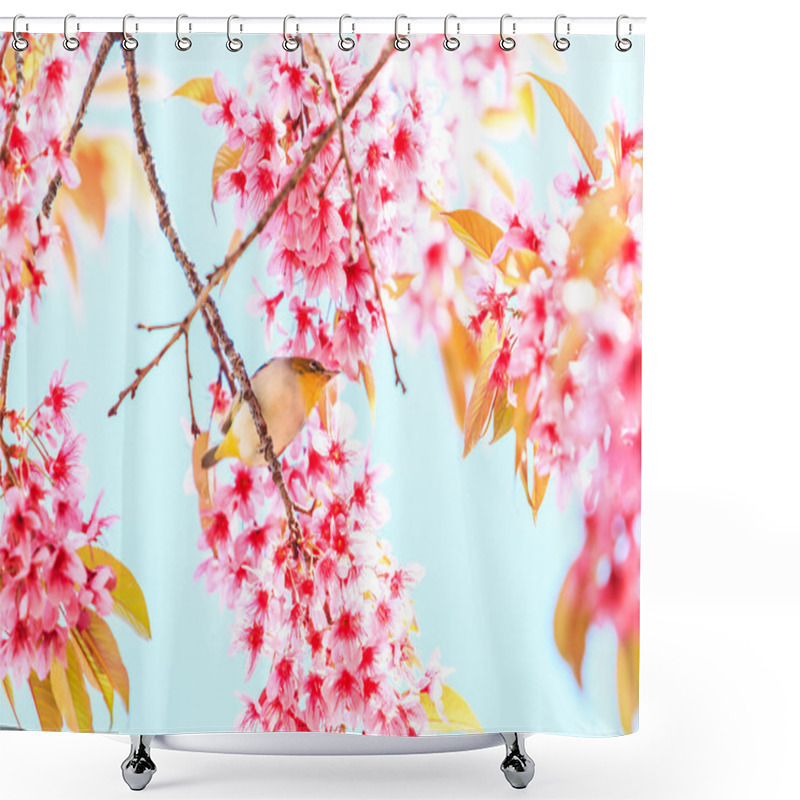 Personality  Little Bird On Sakura Shower Curtains