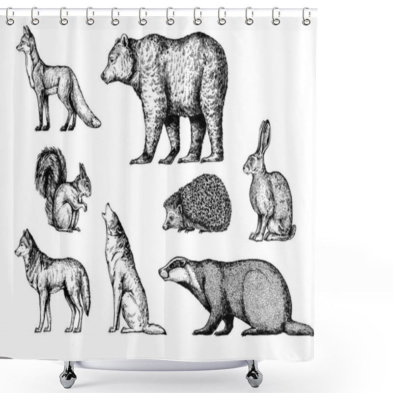 Personality  Forest Animals. Fox, Bear, Squirrel, Wolf, Badger, Hedgehog, Hare, Rabbit, Bunny. Shower Curtains