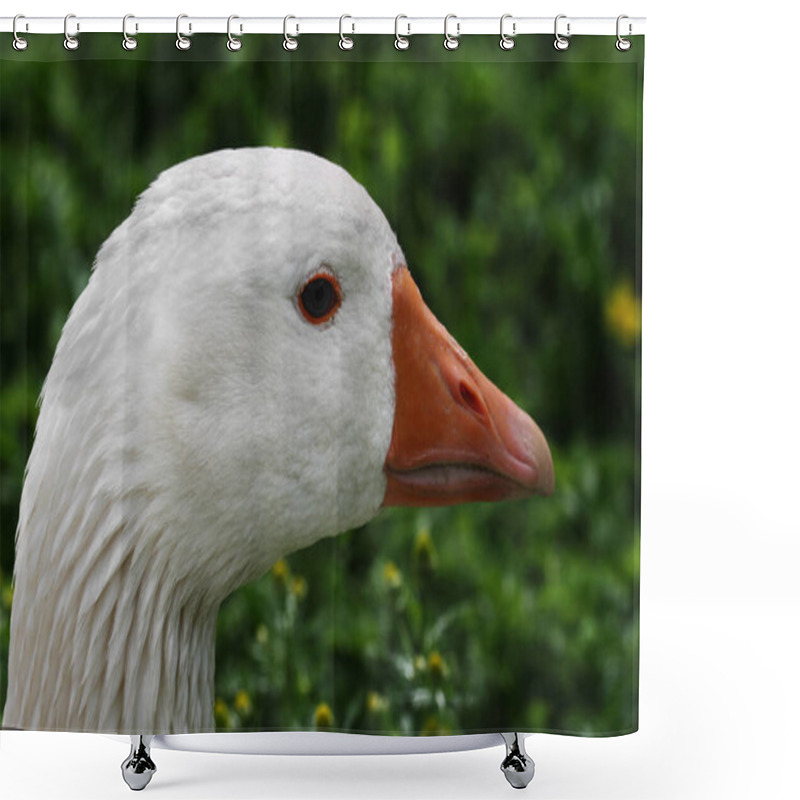 Personality  Scenic View Of Goose Bird At Nature Shower Curtains