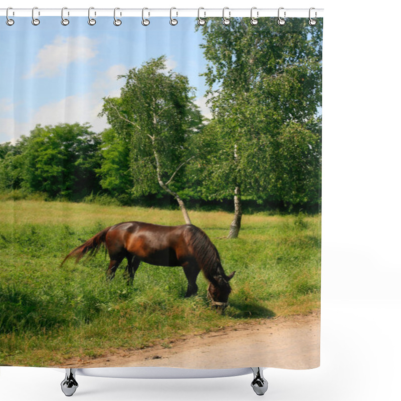 Personality  Horse In The Meadow Shower Curtains