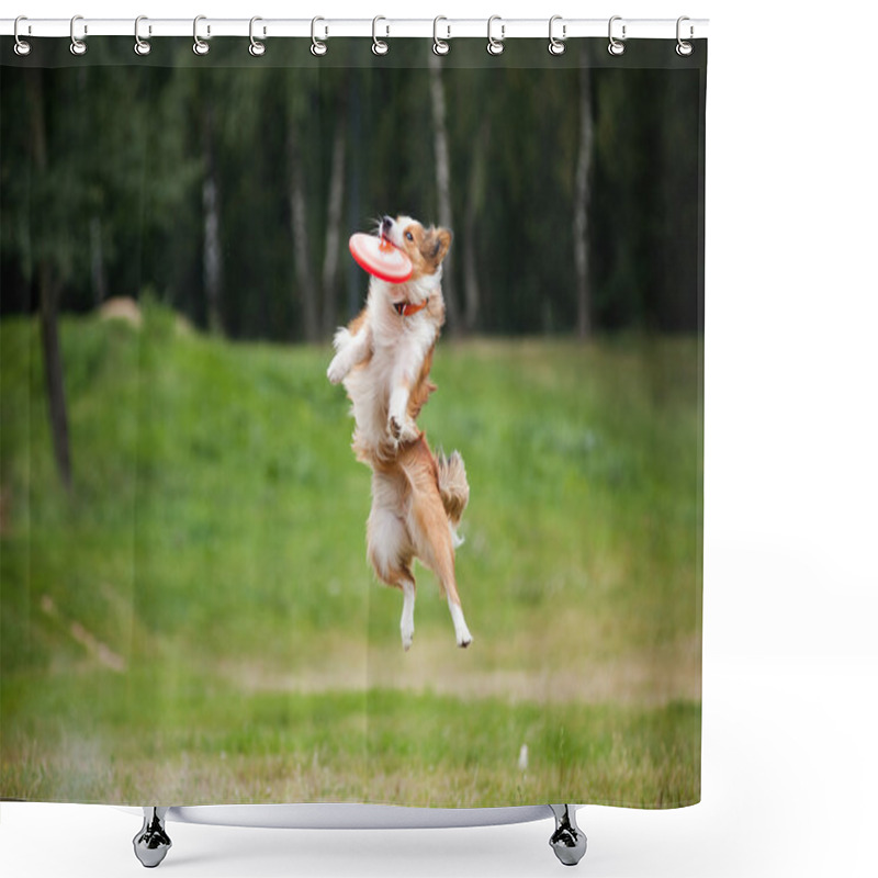 Personality  Frisbee Red Dog Catching Shower Curtains