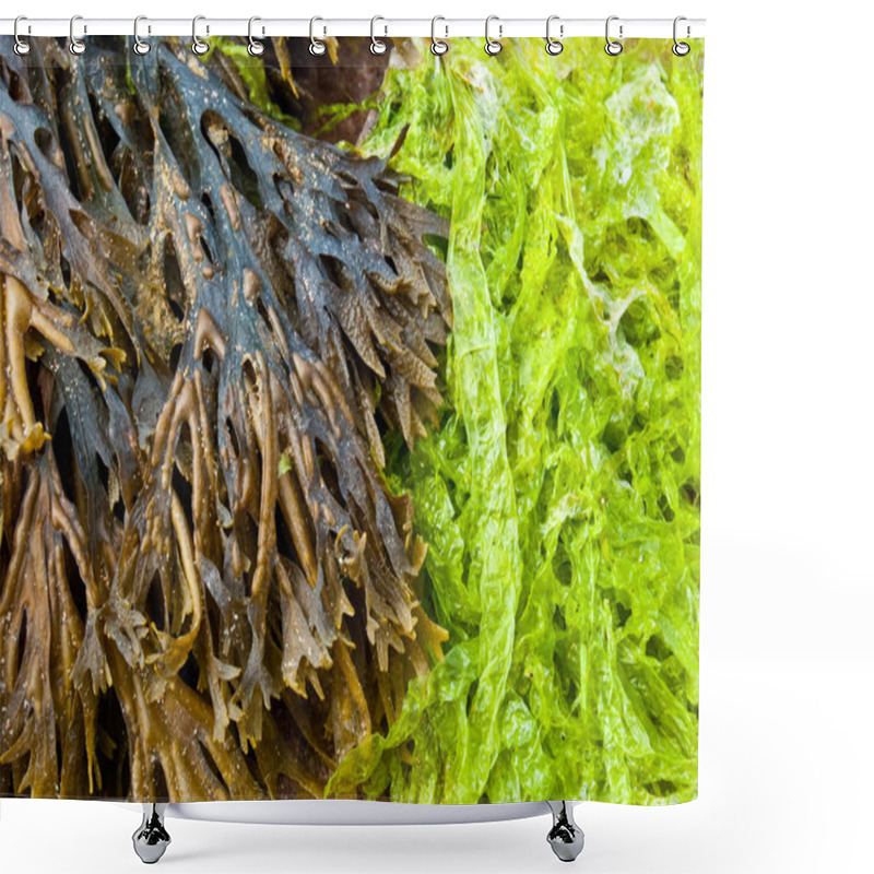 Personality  Fresh Algae Shower Curtains