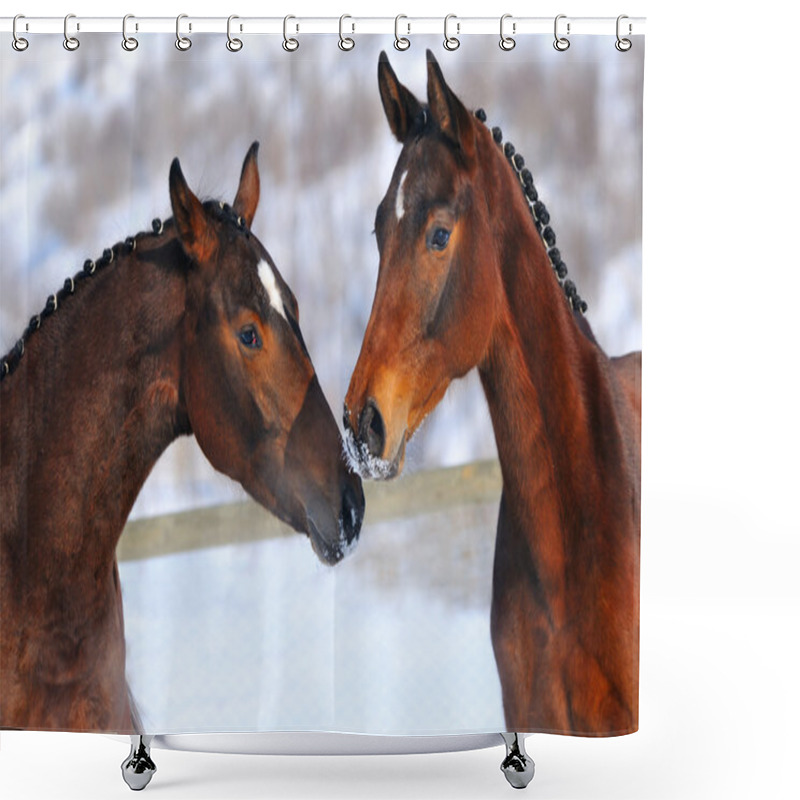 Personality  Two Young Horses Playing On The Snow Field Shower Curtains