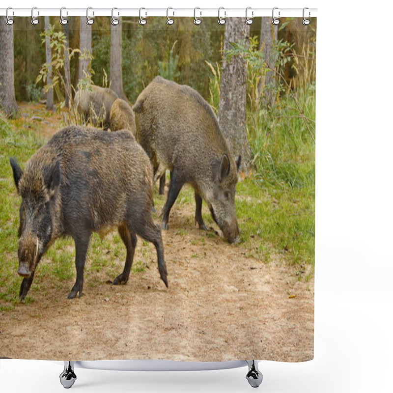 Personality  Wild Boars Roam The Dense Forest, Their Rugged Figures Moving Through The Underbrush. Surrounded By Towering Trees And Thick Foliage, They Thrive In The Wild, Embodying Nature's Untamed Beauty. Shower Curtains