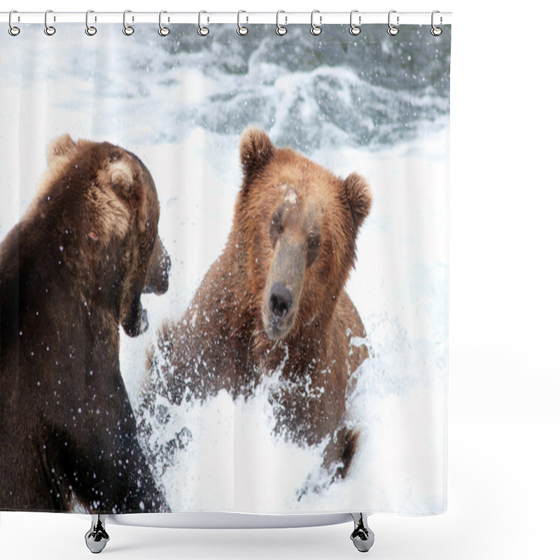 Personality  Two Large Alaskan Brown Bears Fighting In The Water Shower Curtains