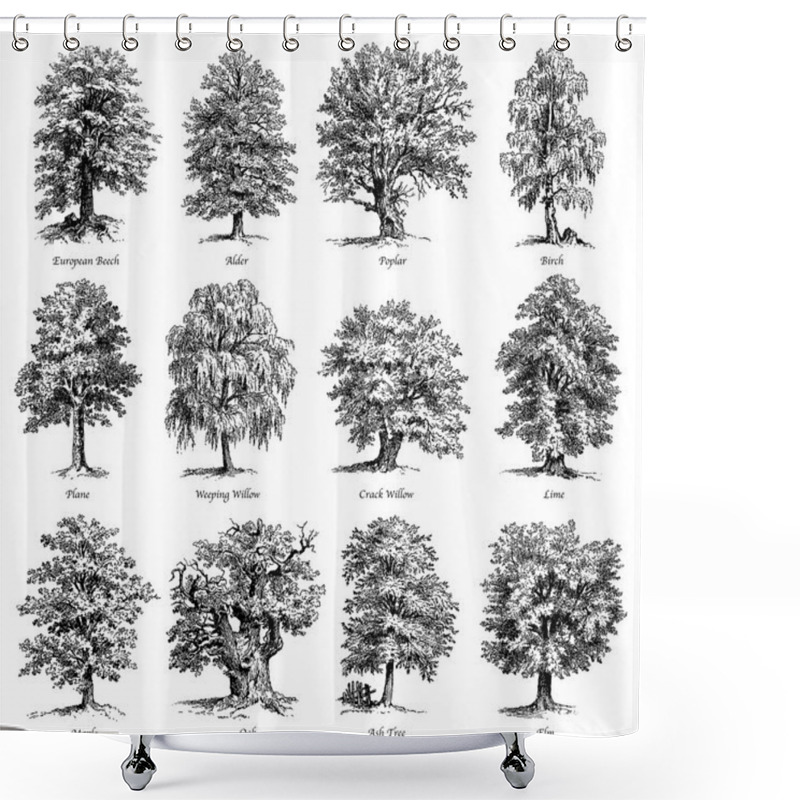 Personality  Common Trees Vector Illustrations Set Shower Curtains