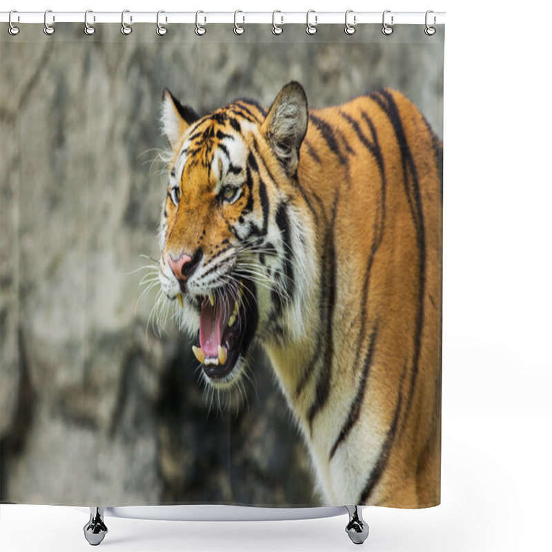 Personality  Tiger Shower Curtains