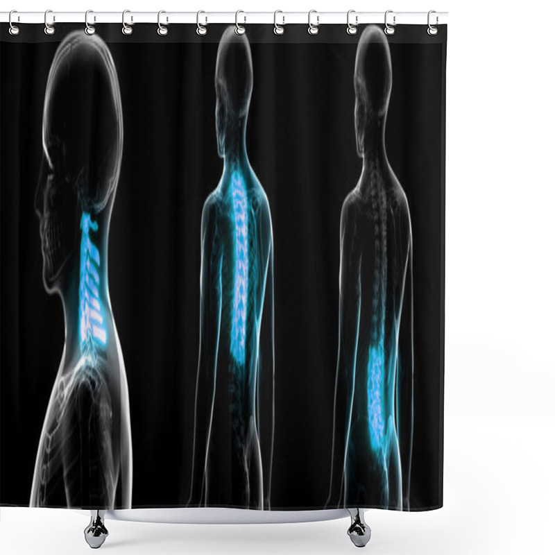 Personality  Vertebral Column Of Human Skeleton System Anatomy. 3D Shower Curtains