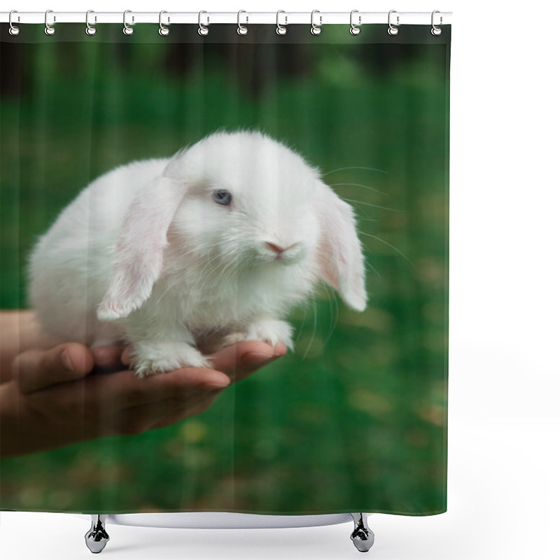 Personality  Funny Baby White Rabbit On Human Hand In Grass Shower Curtains