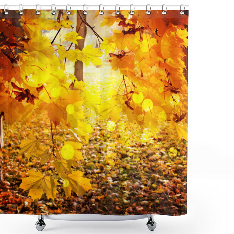 Personality  Autumn Trees And Leaves Shower Curtains